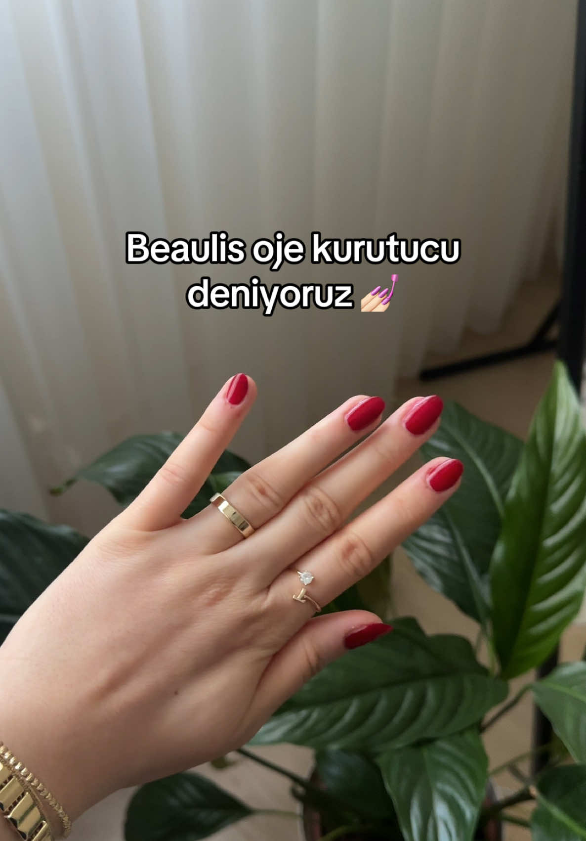 @cansy ✨