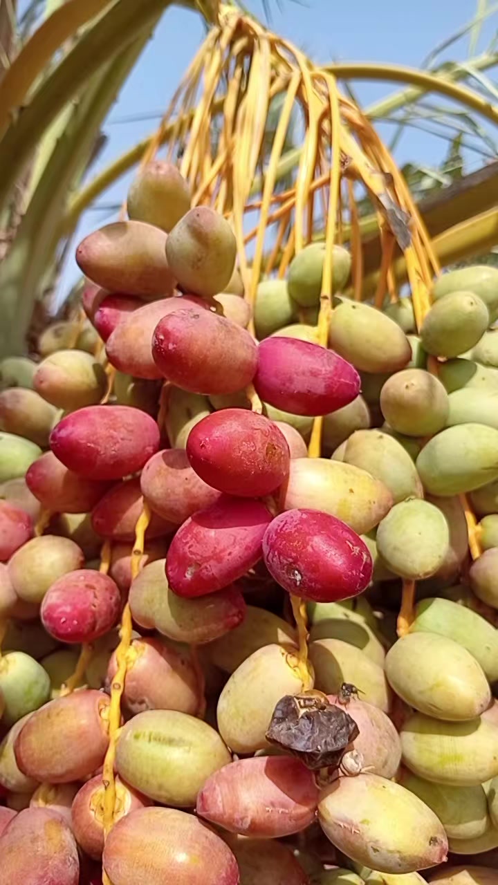 @আমিহীন দুনিয়া 😥😥😥☝️☝️000