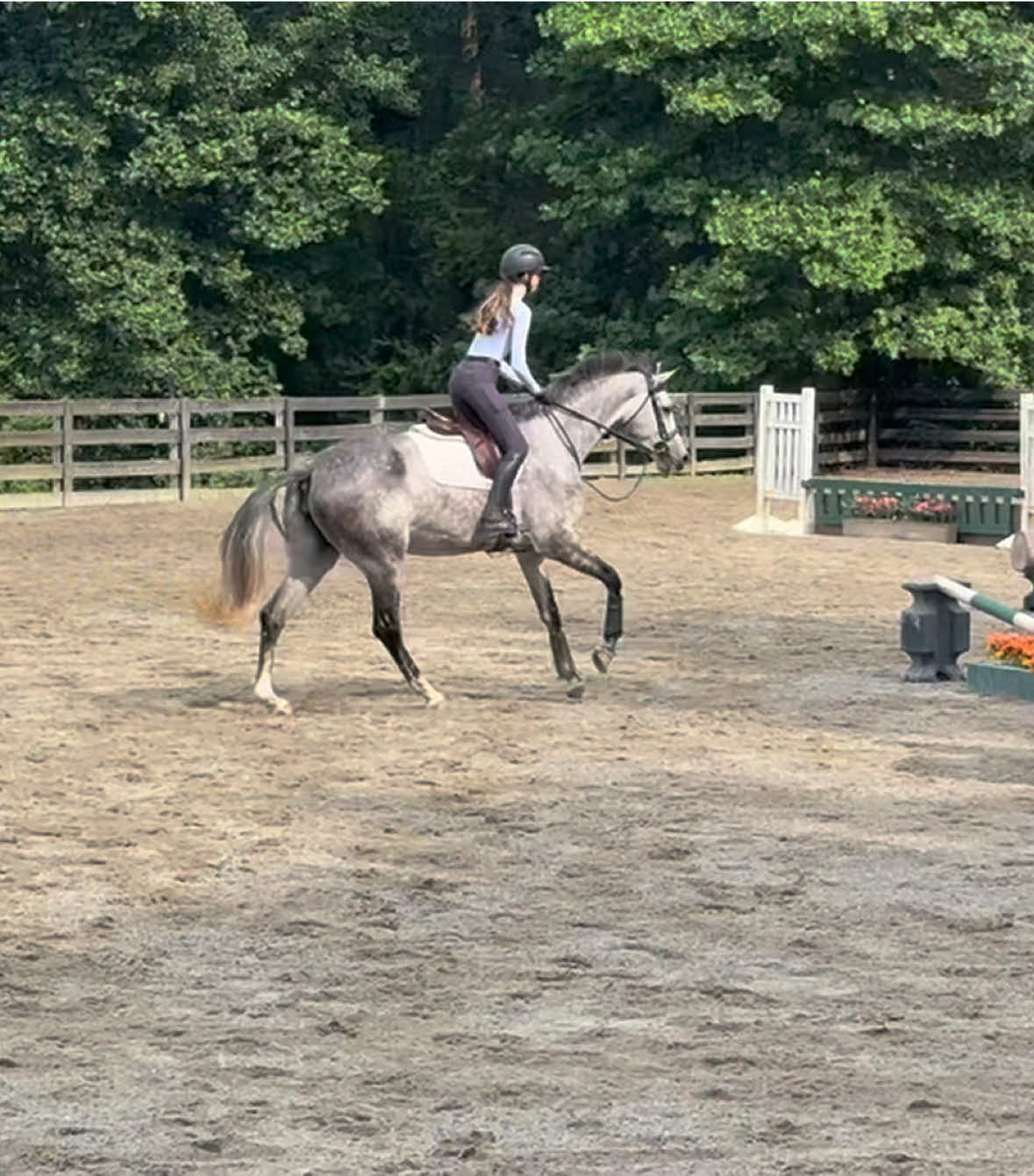 @🔥Neigh Neigh Nation🔥