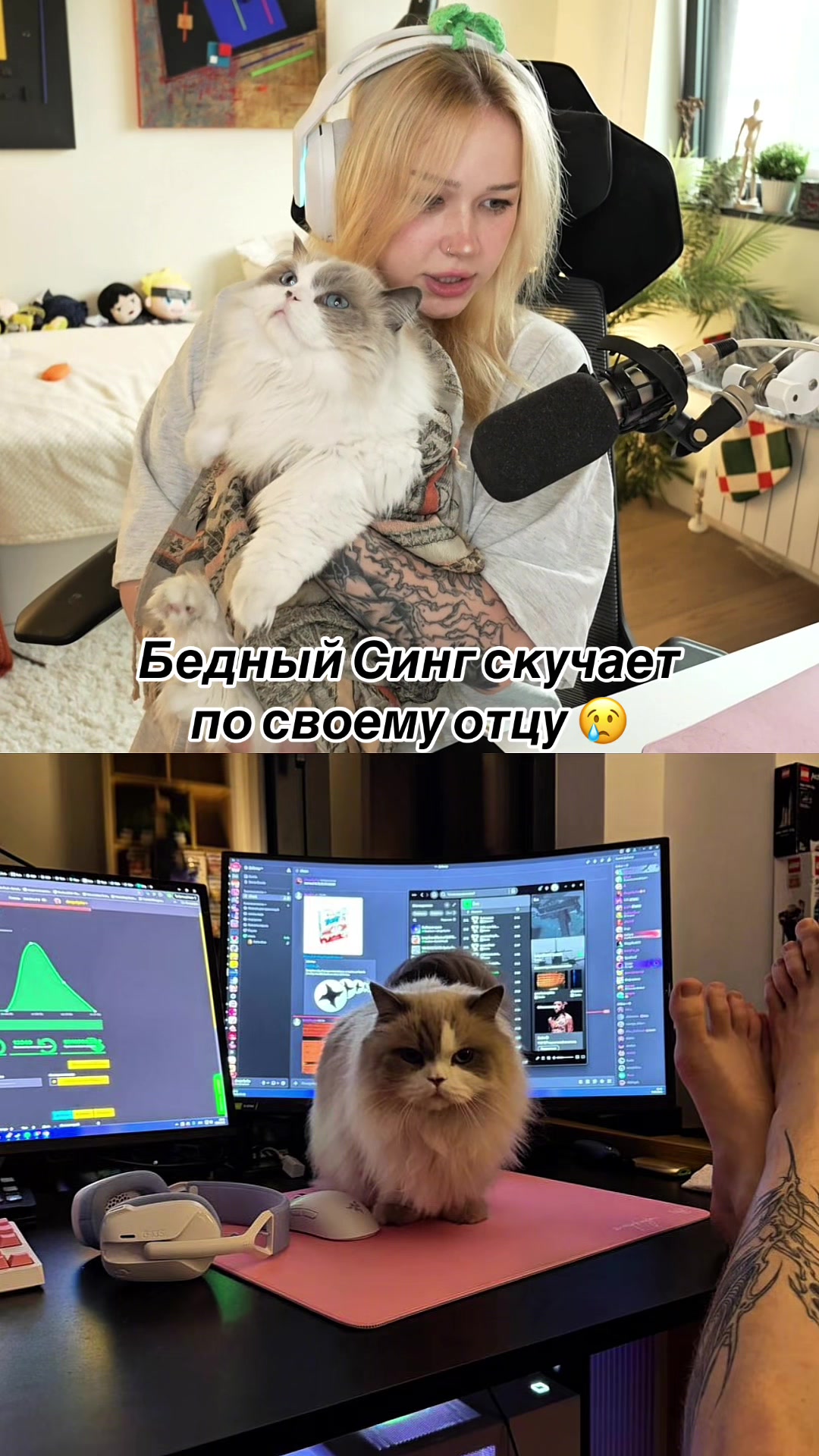 @rezchik_twicha