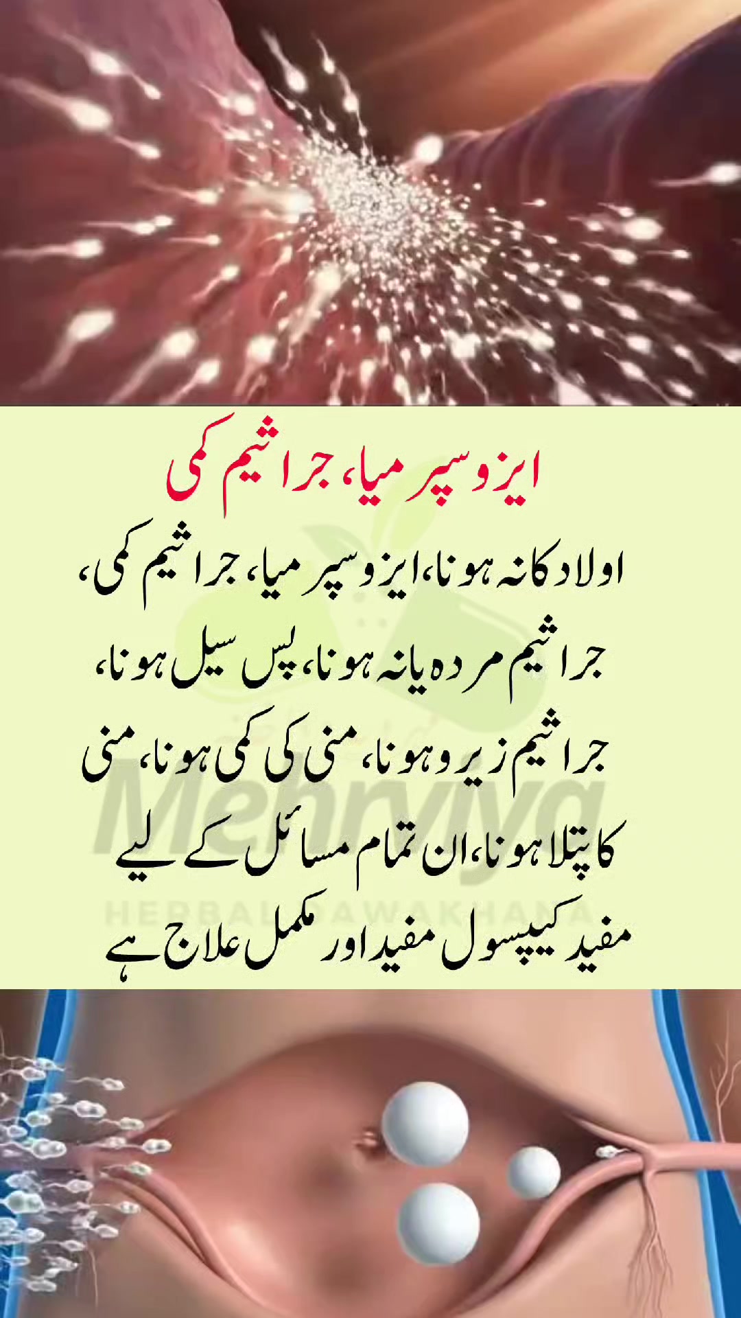 @Mehrviya Dawakhana Official