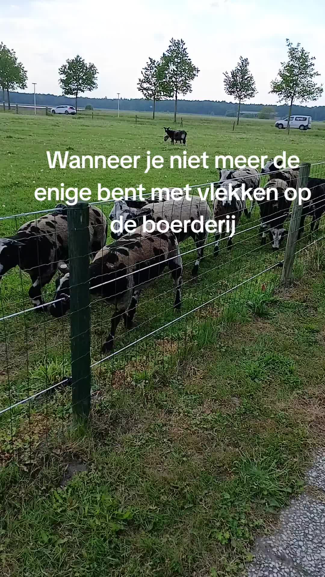@Sjo's farmvideos