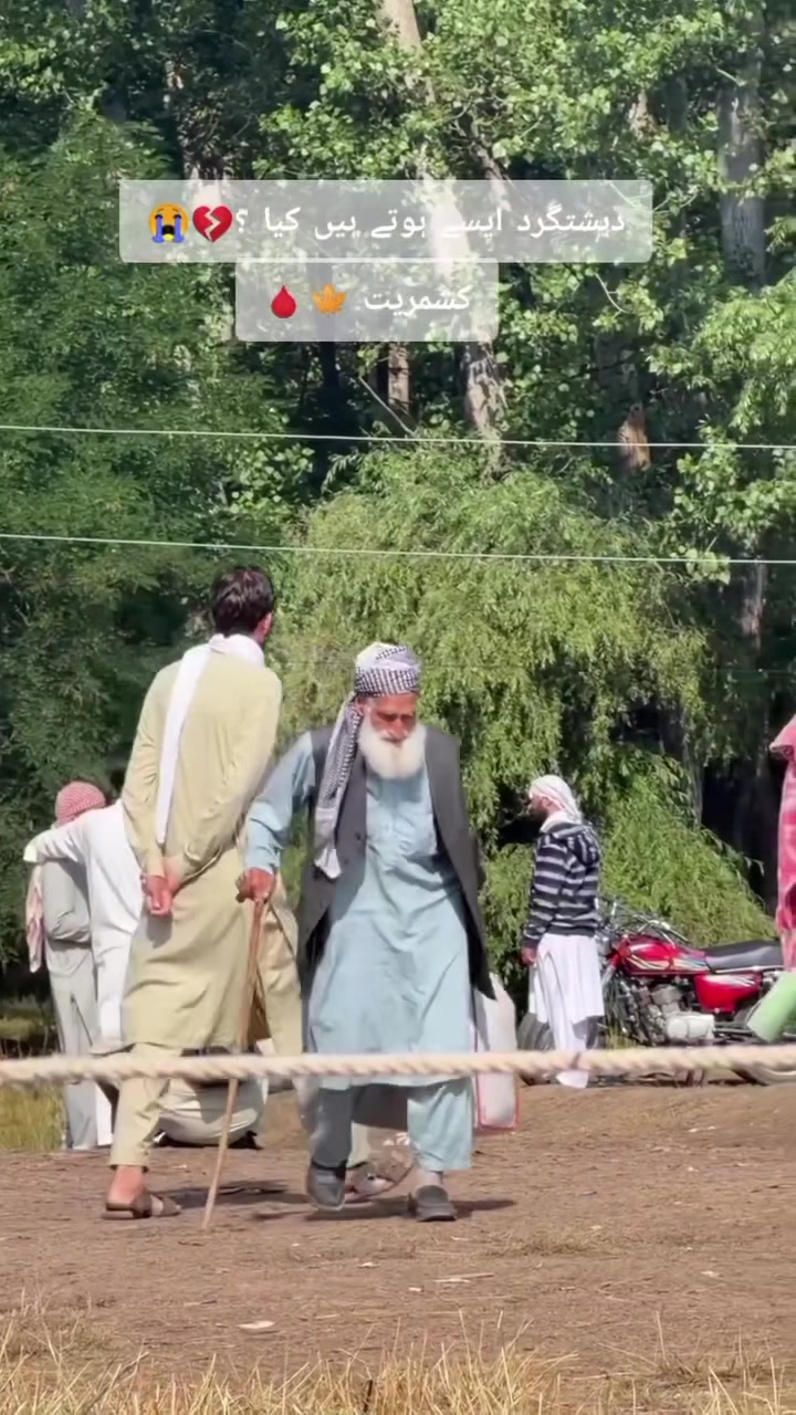 @سلیمان کشمیری🚩