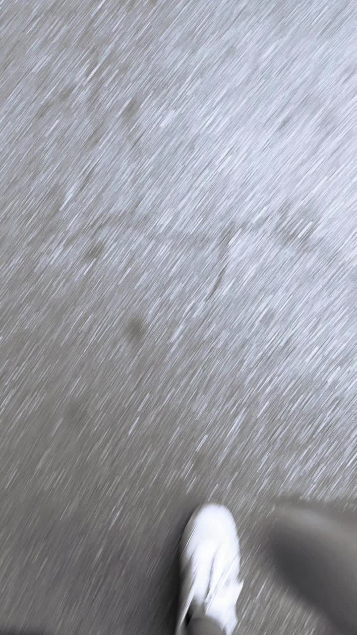 @giulianamelis665