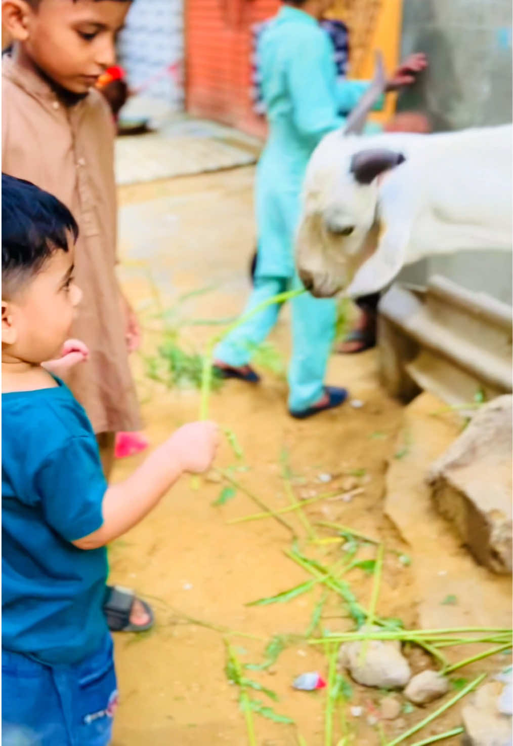 @tahirkaysath