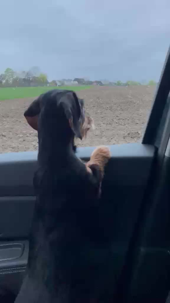 @v.d.Burgmannshöfen