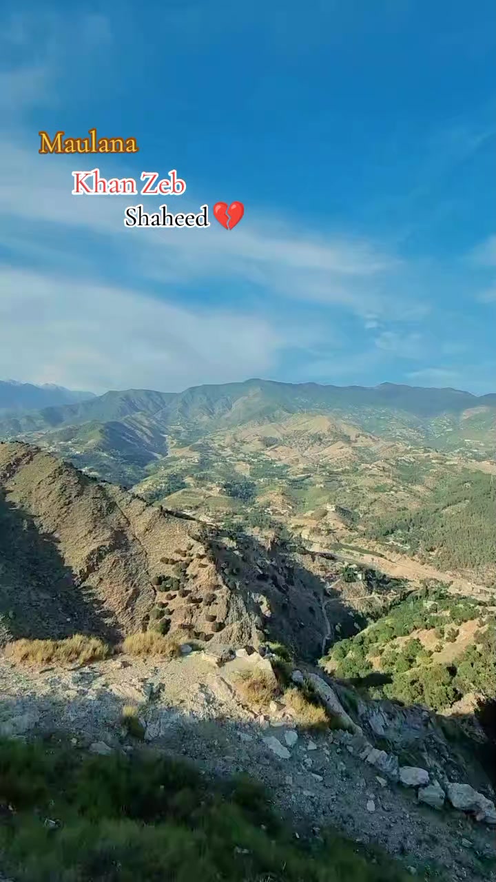 @Wajidalishah_33