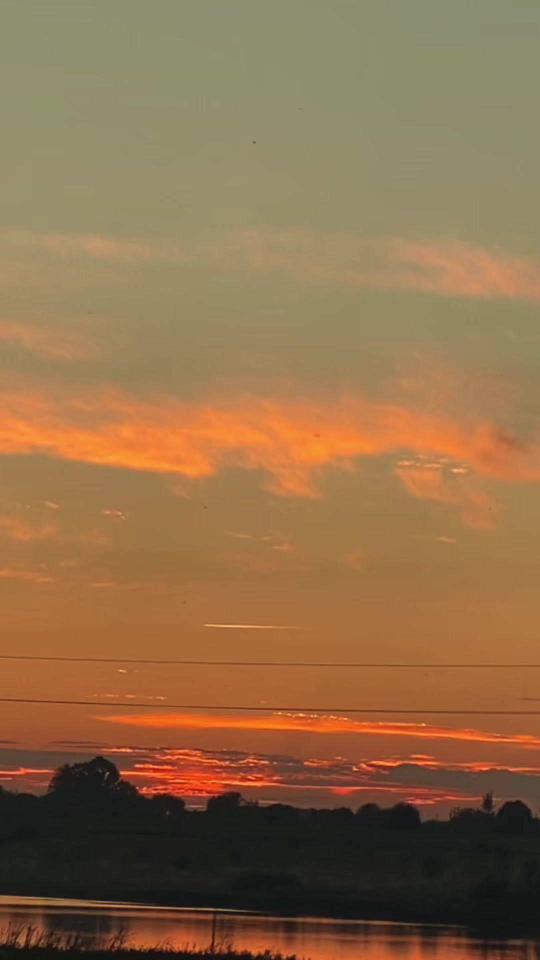 @Алёна Коржуева