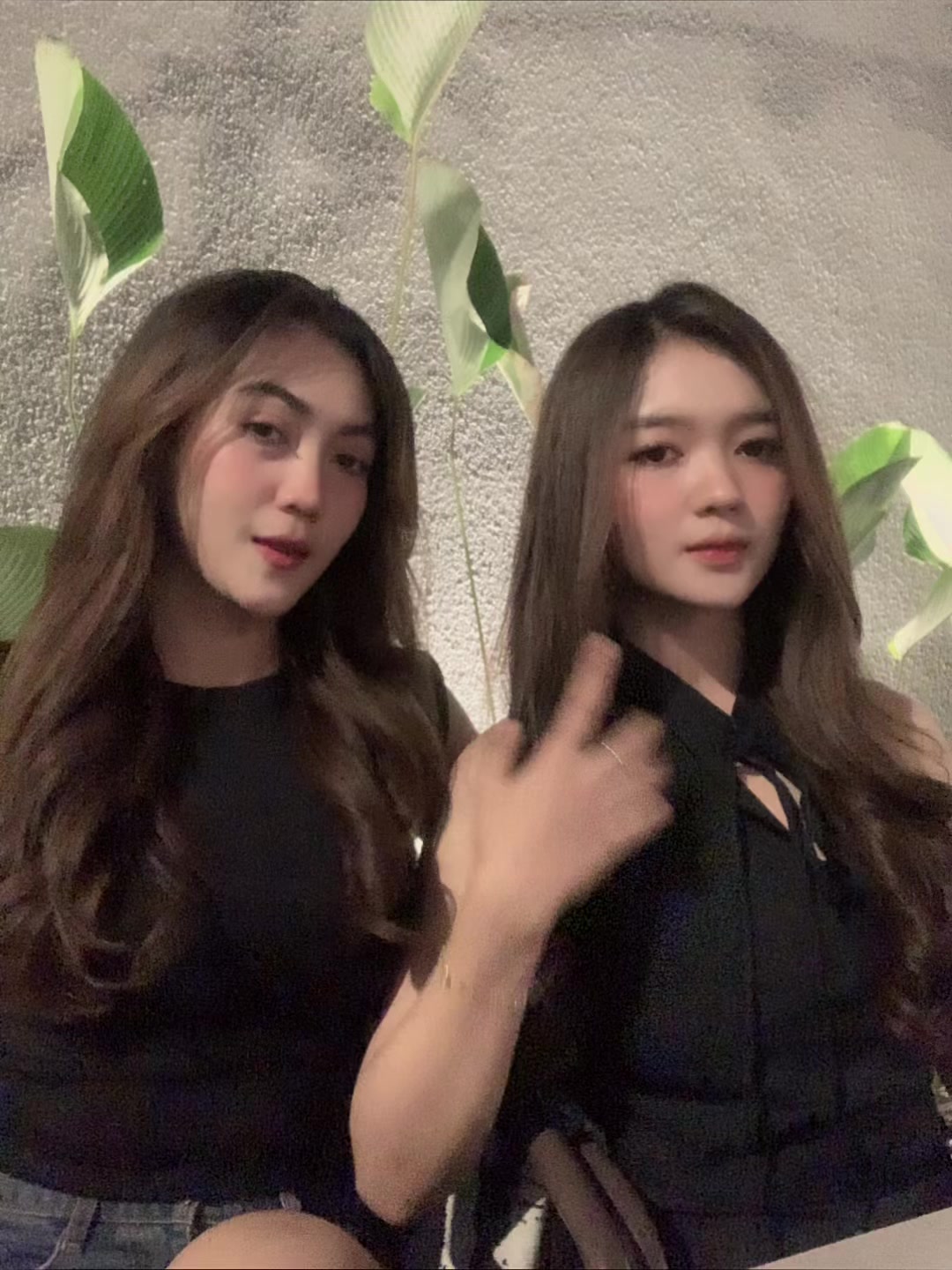 @canalya