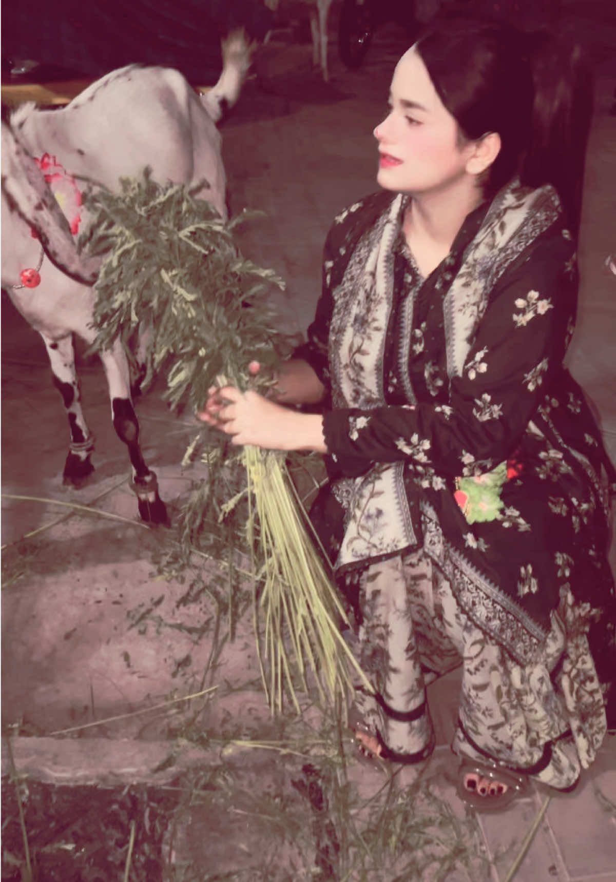 @𝐀𝐋𝐈𝐗𝐇𝐁𝐀 𝐑𝐀𝐌𝐙𝐀𝐍🥀