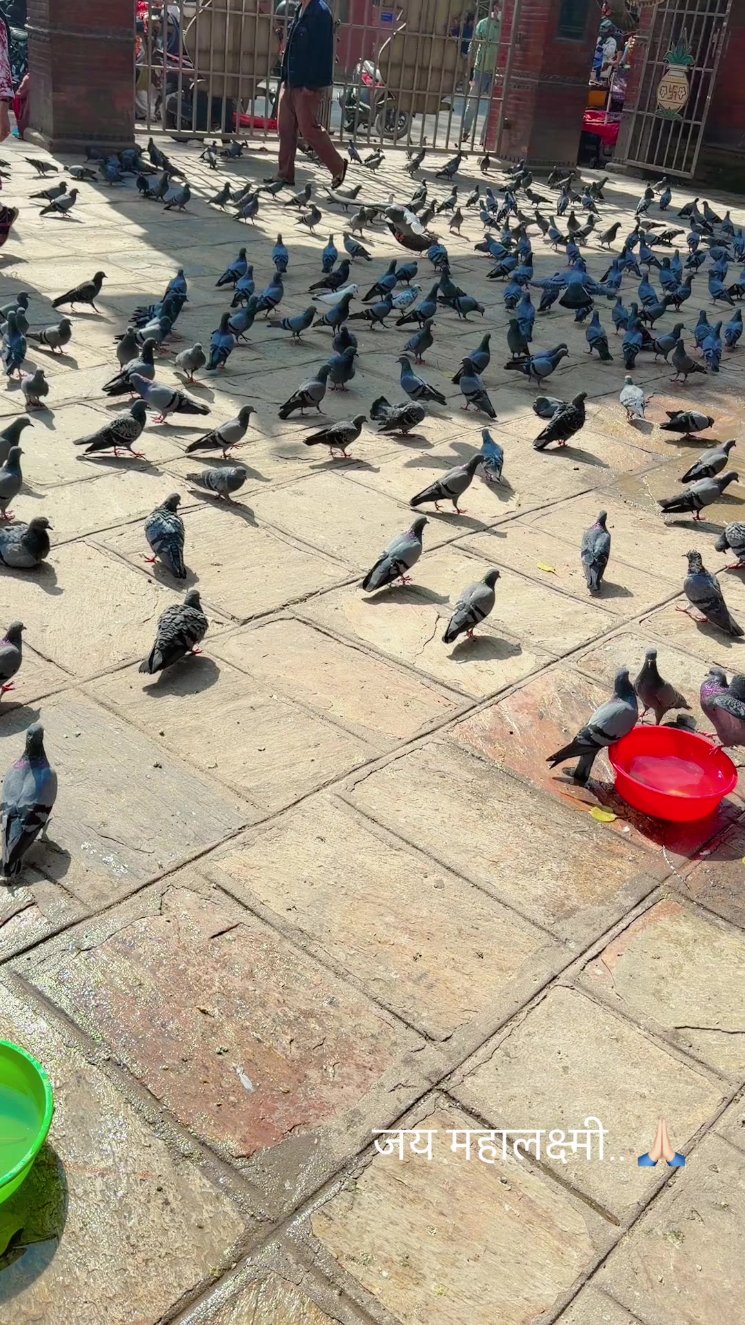 @🧿🕊️🇳🇵🧿