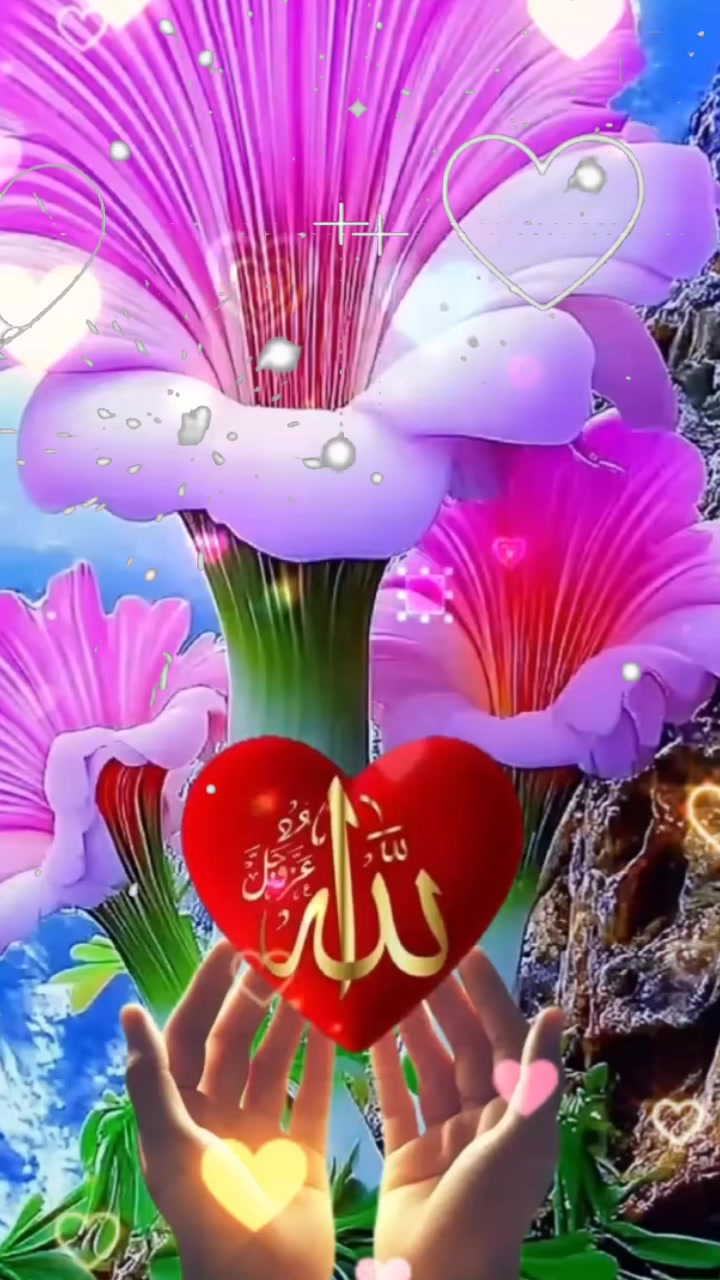 @uwa_faizal