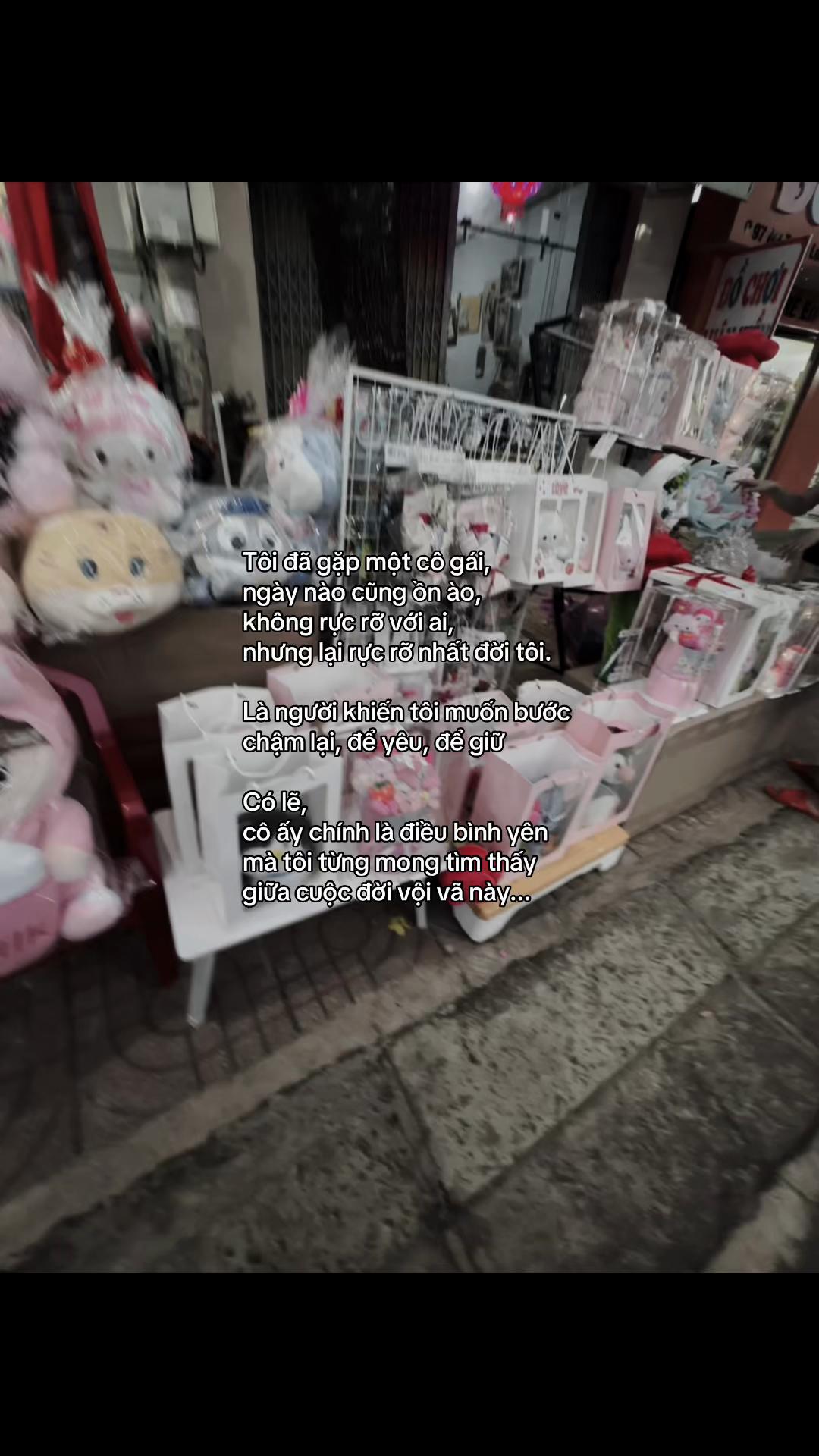@๐๐ข๐ฏ๐จ๐๐ฉ๐ฐ๐ข