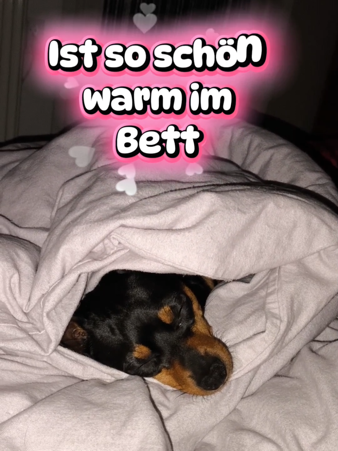 @ICH BIN'S