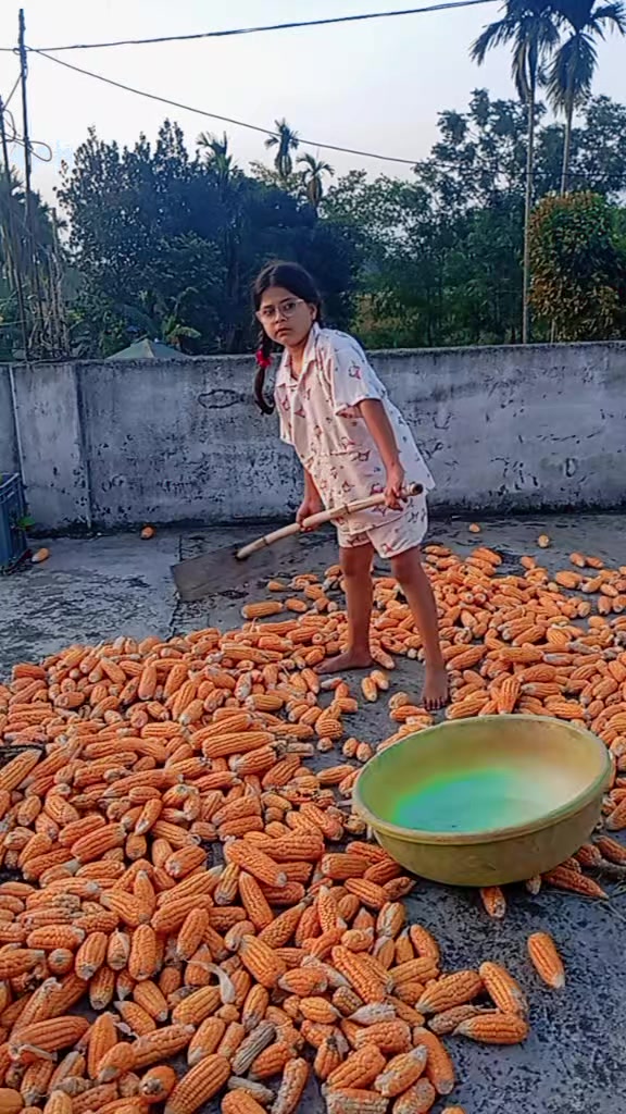 @Dipa Gautam Adhikari