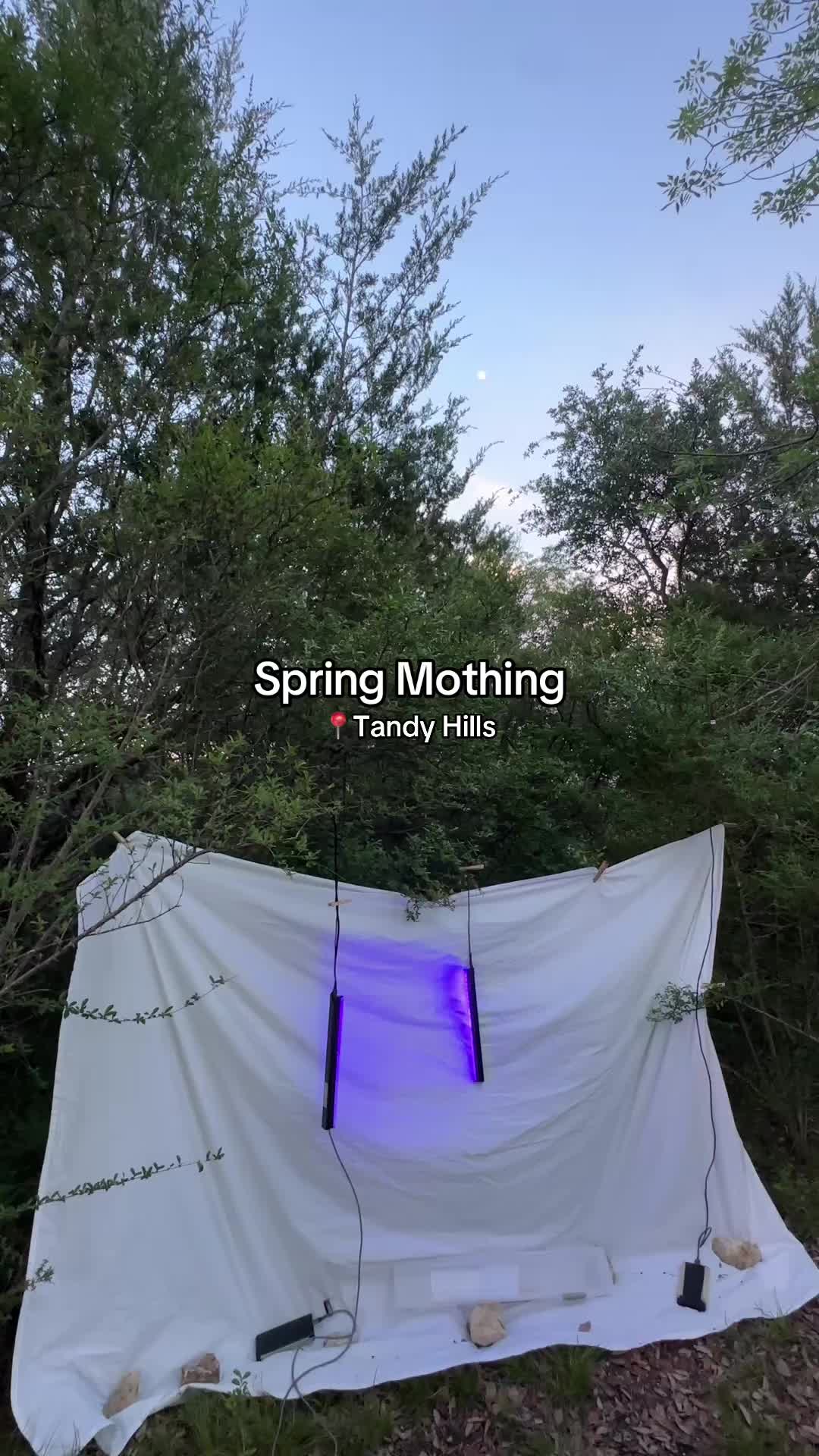 @Jessica | Xenia Backyards