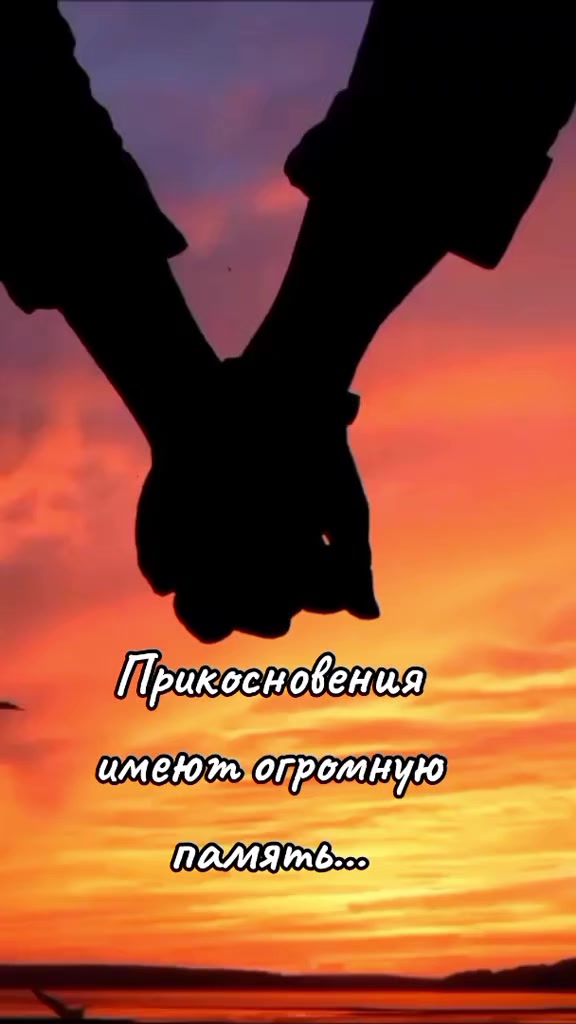 @niko