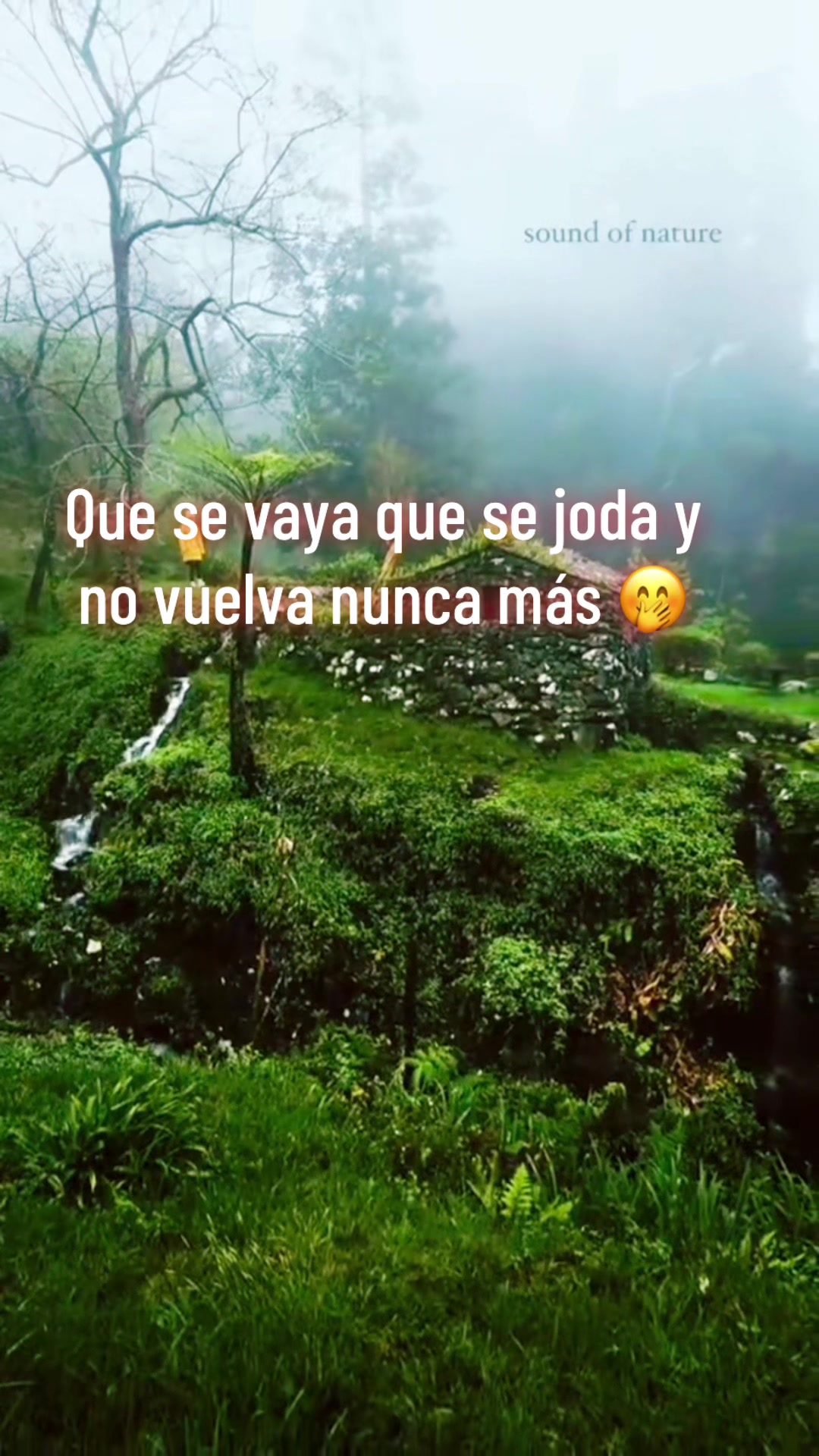 @JC ♥️Tu Consentido
