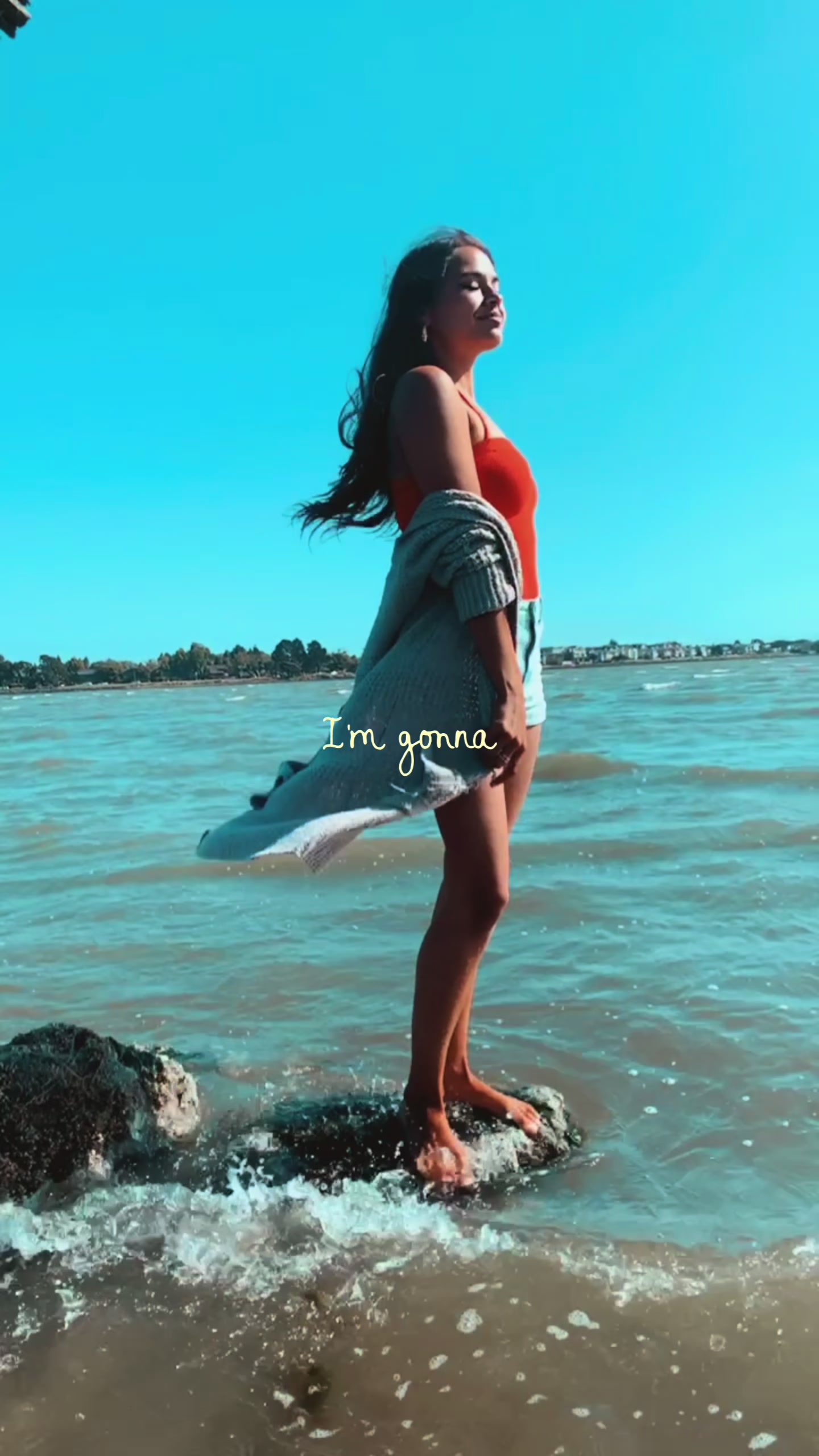 @Donna 🦋