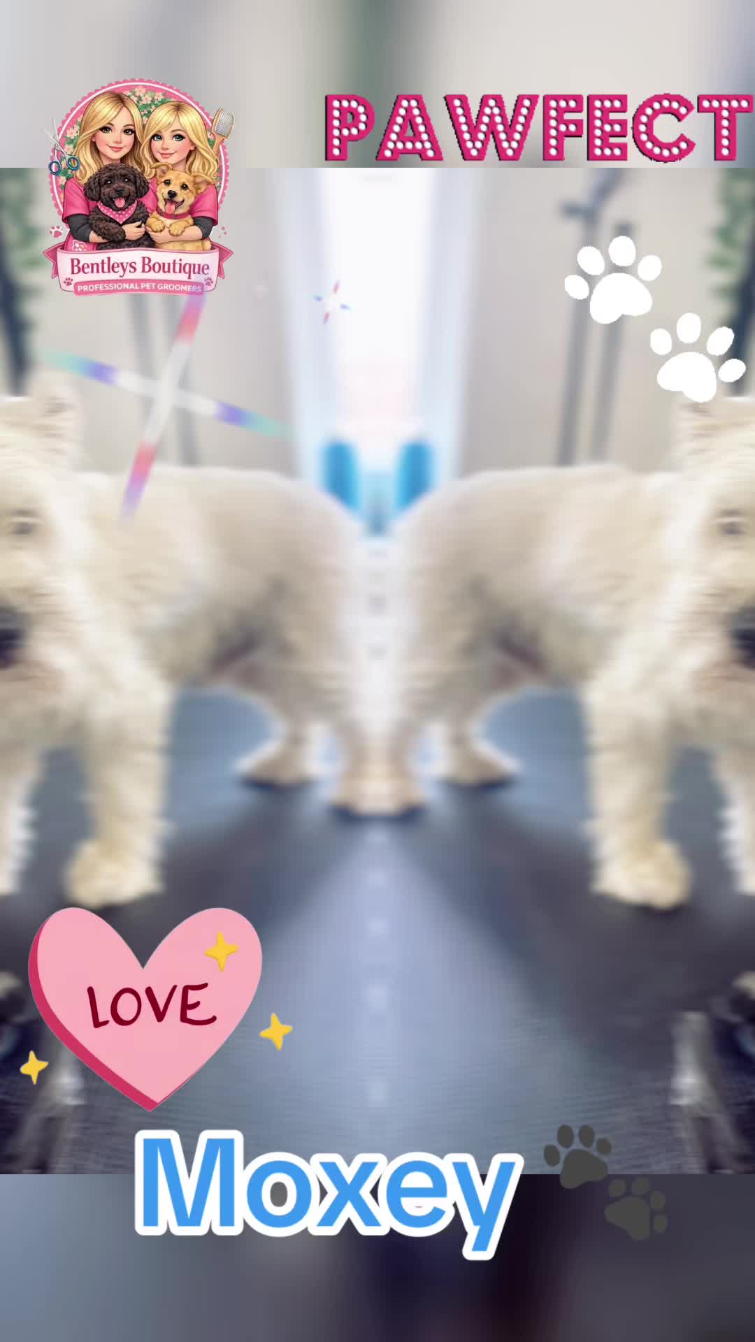 @Bentleys Boutique Pet Groomers