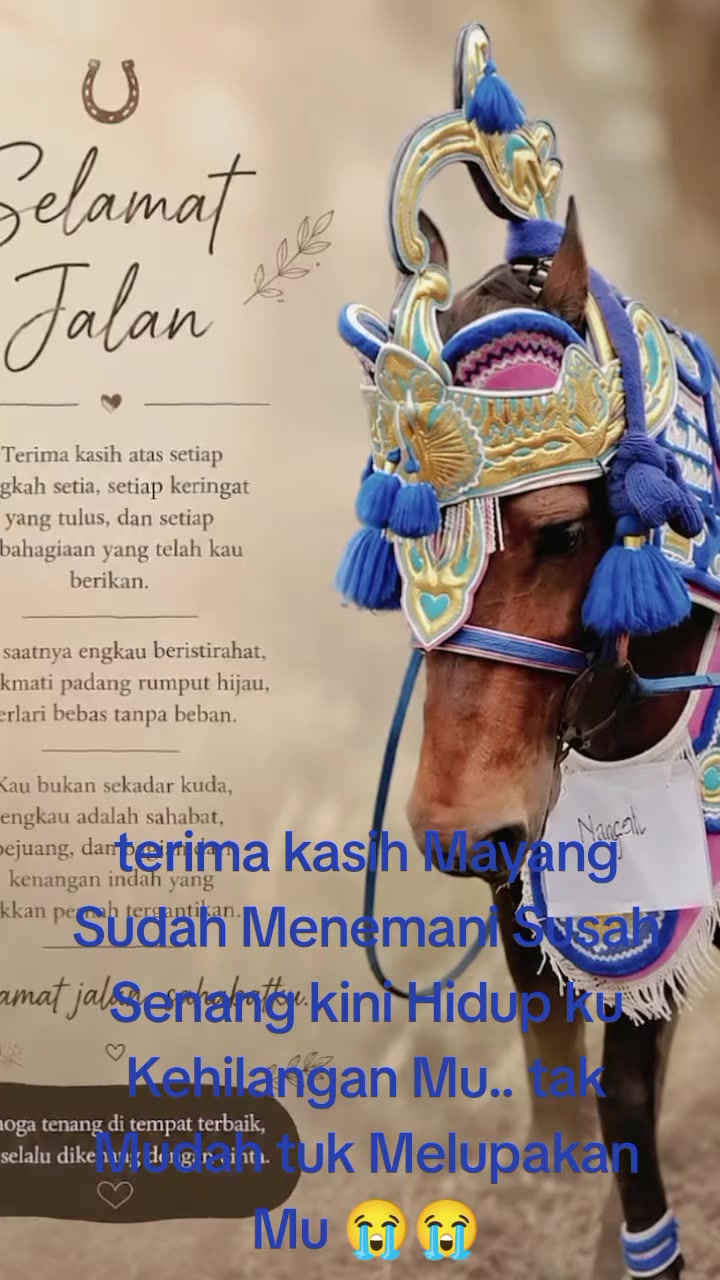 @𝓐𝔂𝓪𝓱 𝓐𝓯𝓭𝓪𝓷 🥰