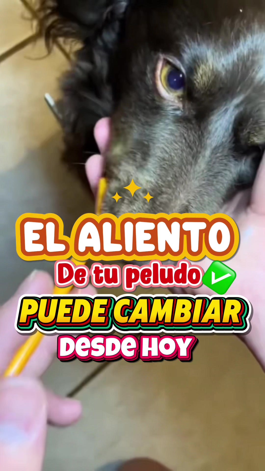 @Ecuhogar