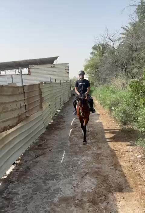 @Al Bosta Equestrian