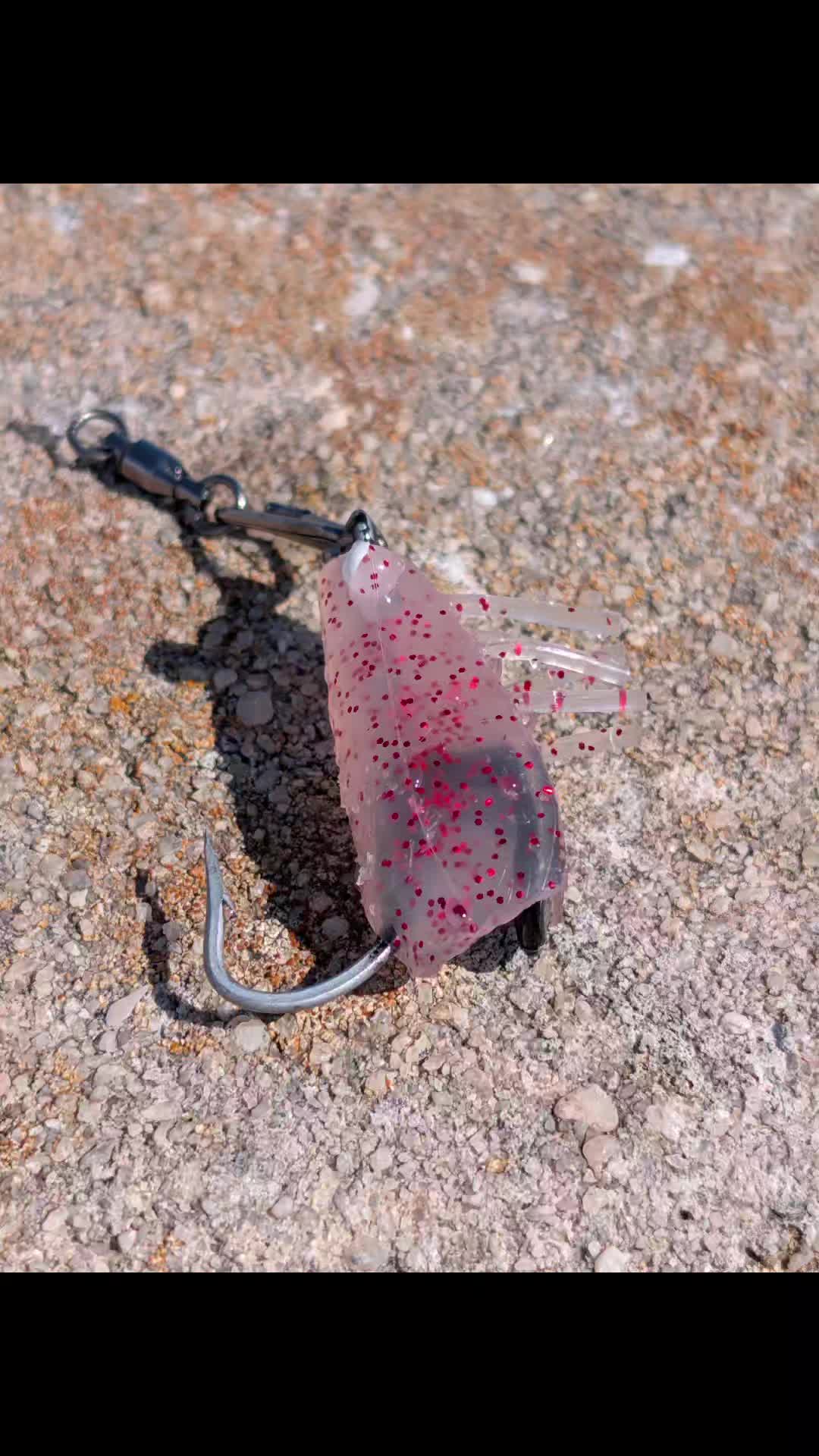 @Team Fat Kid Fishing