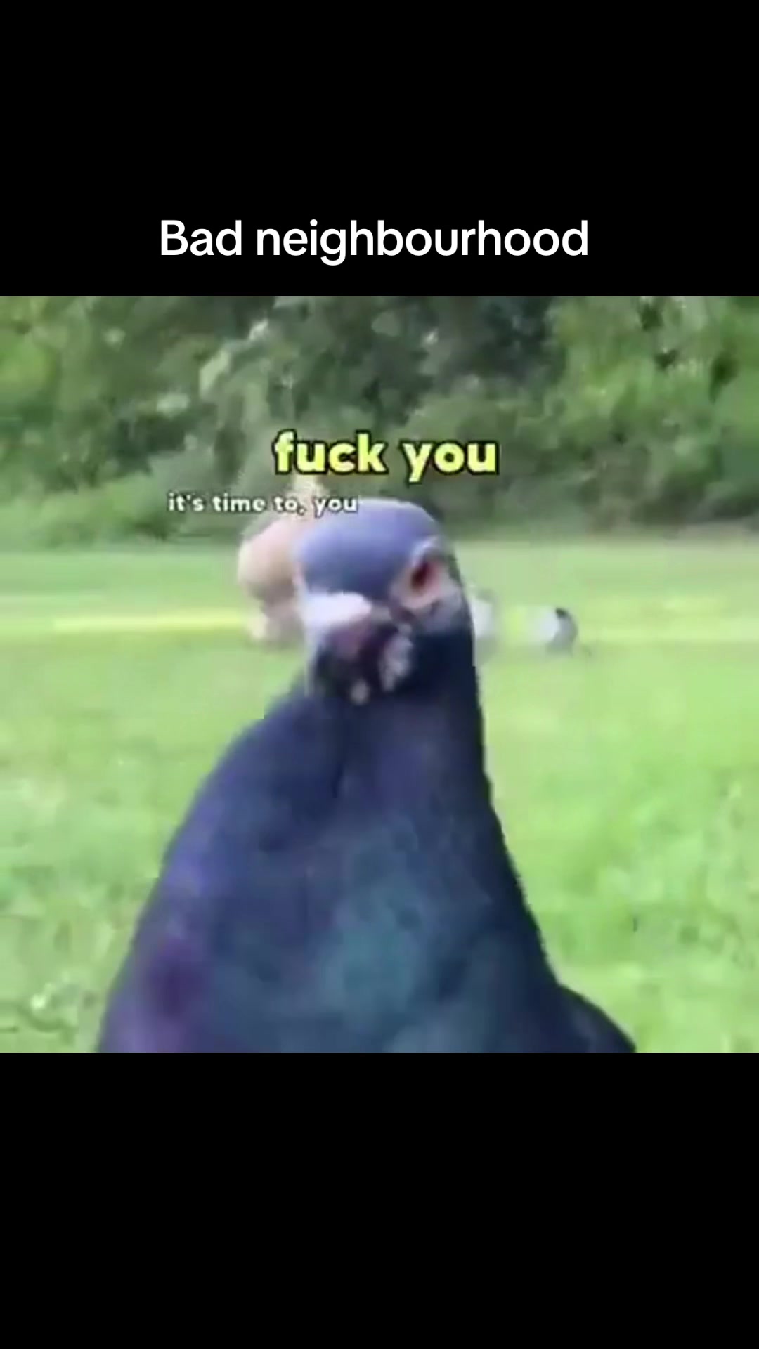 @Mr Roxy