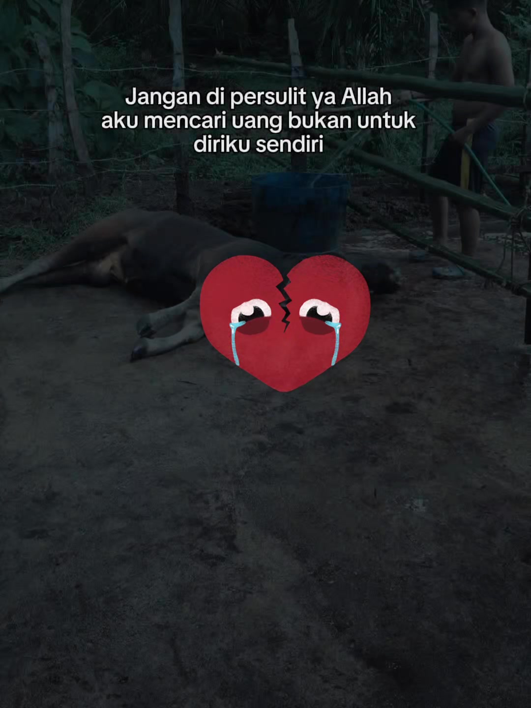 @Adzi BRAHMAN GROUP 447