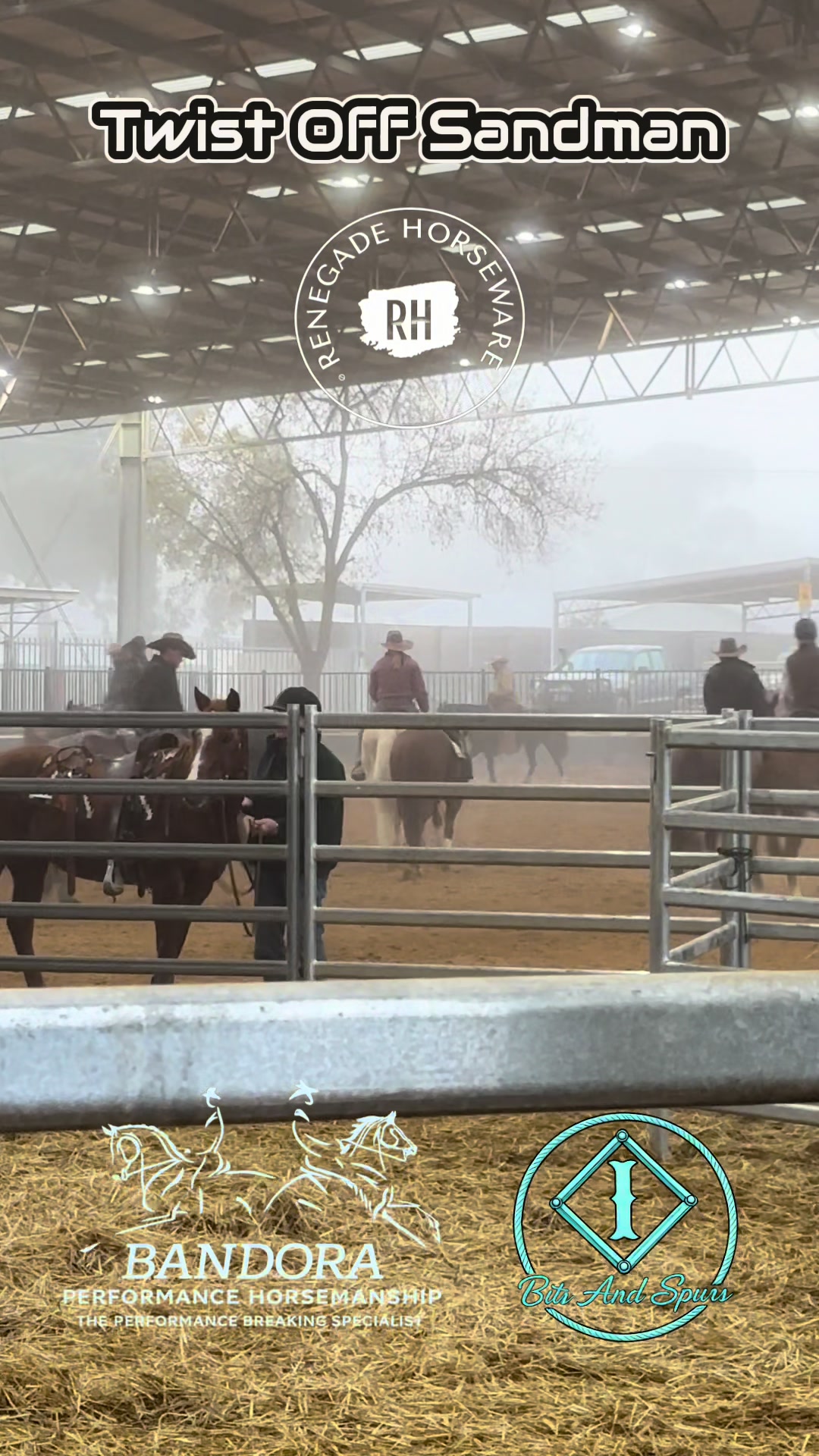 @Bandora_Horsemanship