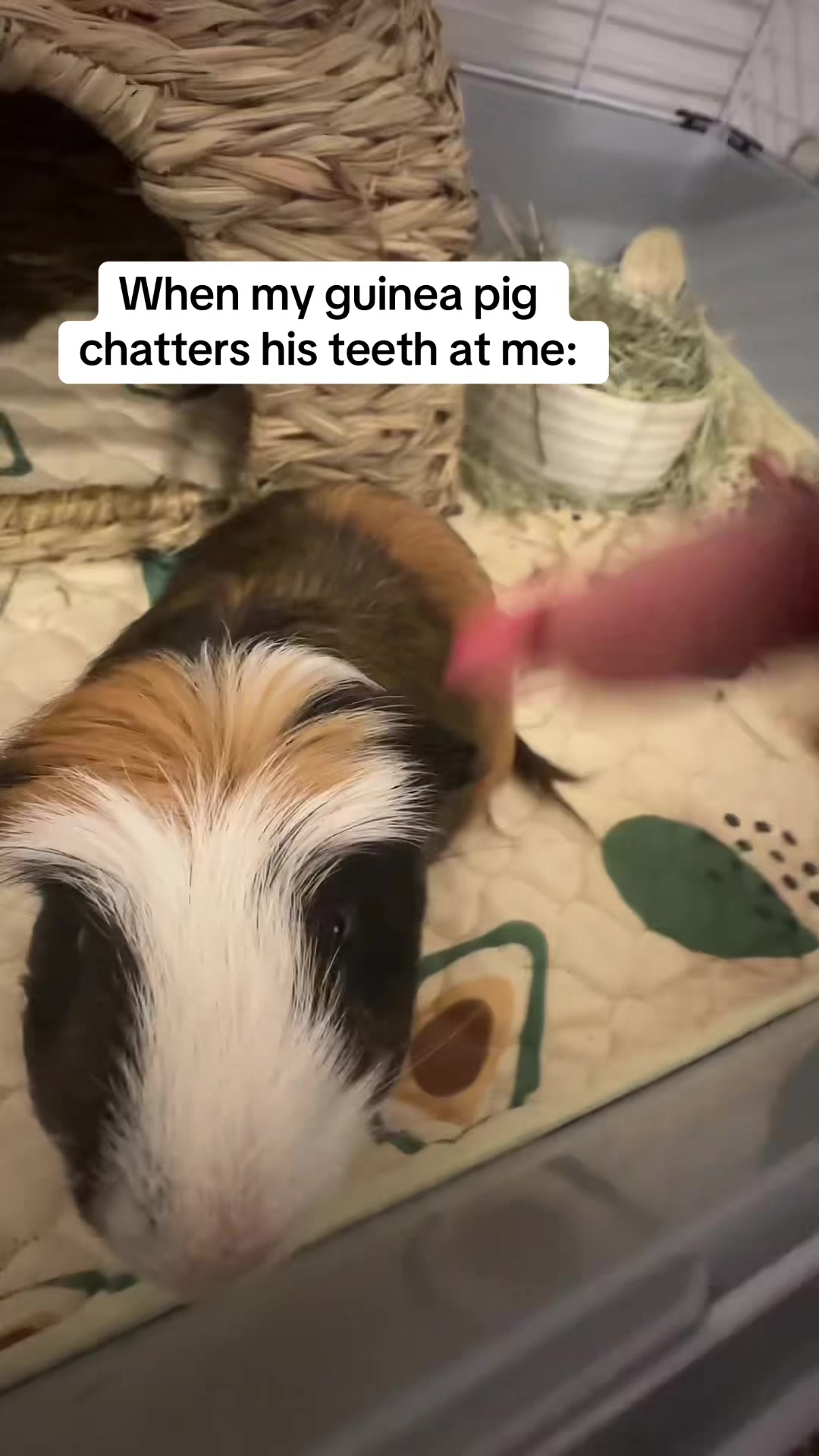 @💫