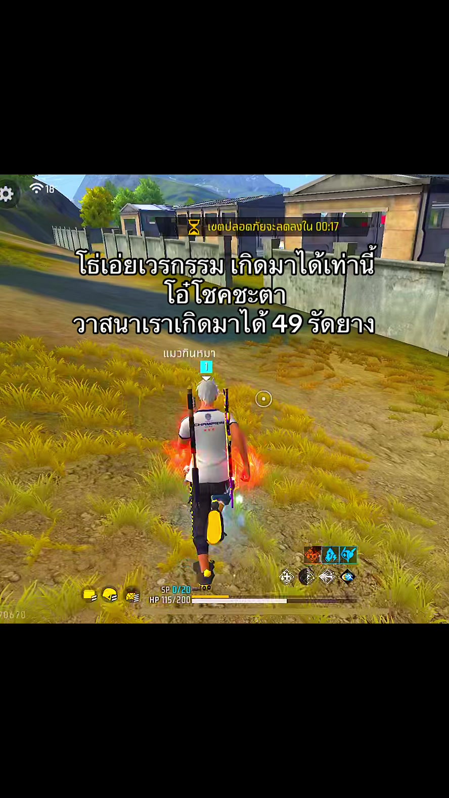 @แมวไม่มีเจ้าของ