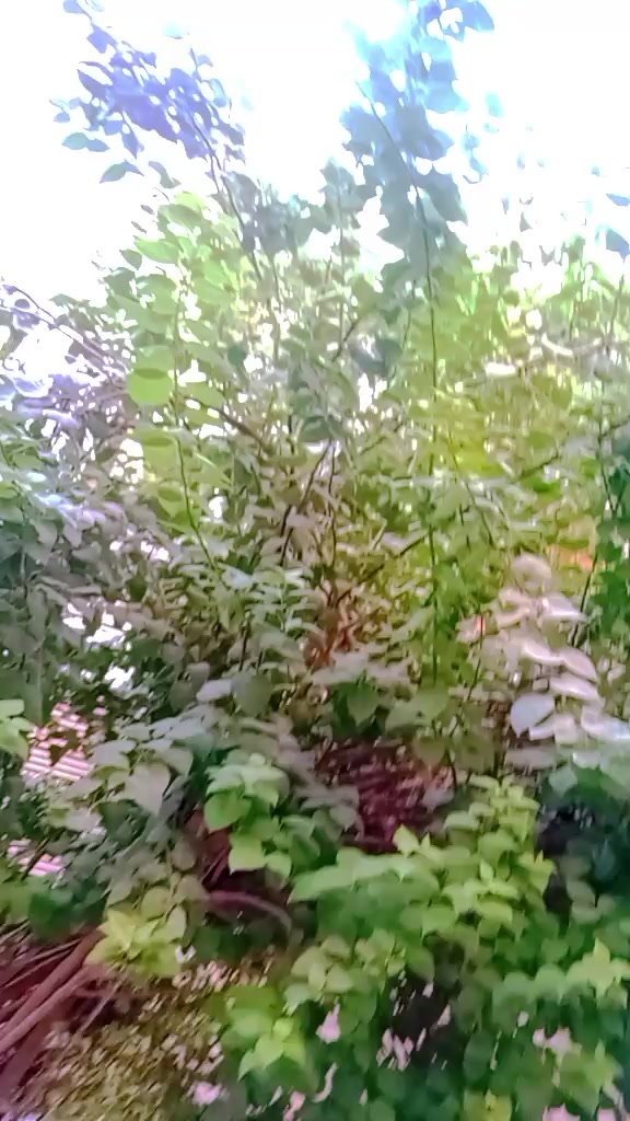 @Rajesh pasman123