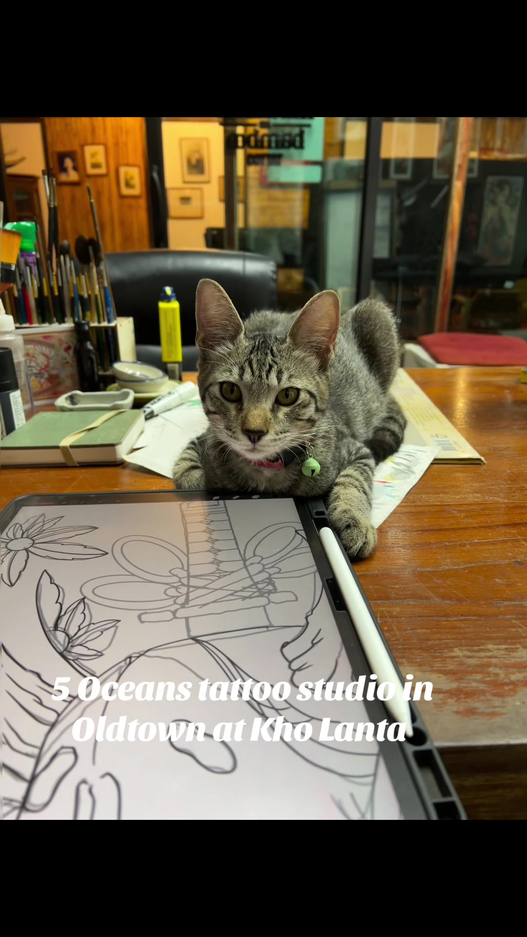 @5 oceans tattoo studio