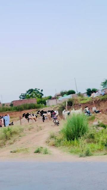 @꧁༒☬بوبی بھٹی175🏴&zwj;☠️☬༒꧂