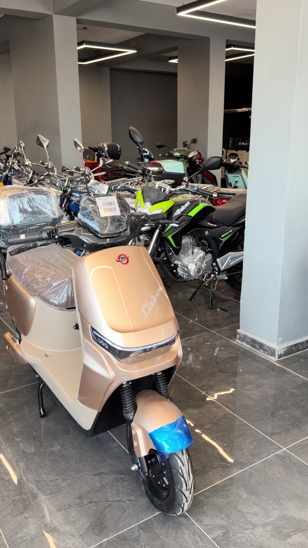 @CAN MOTORSHATAY