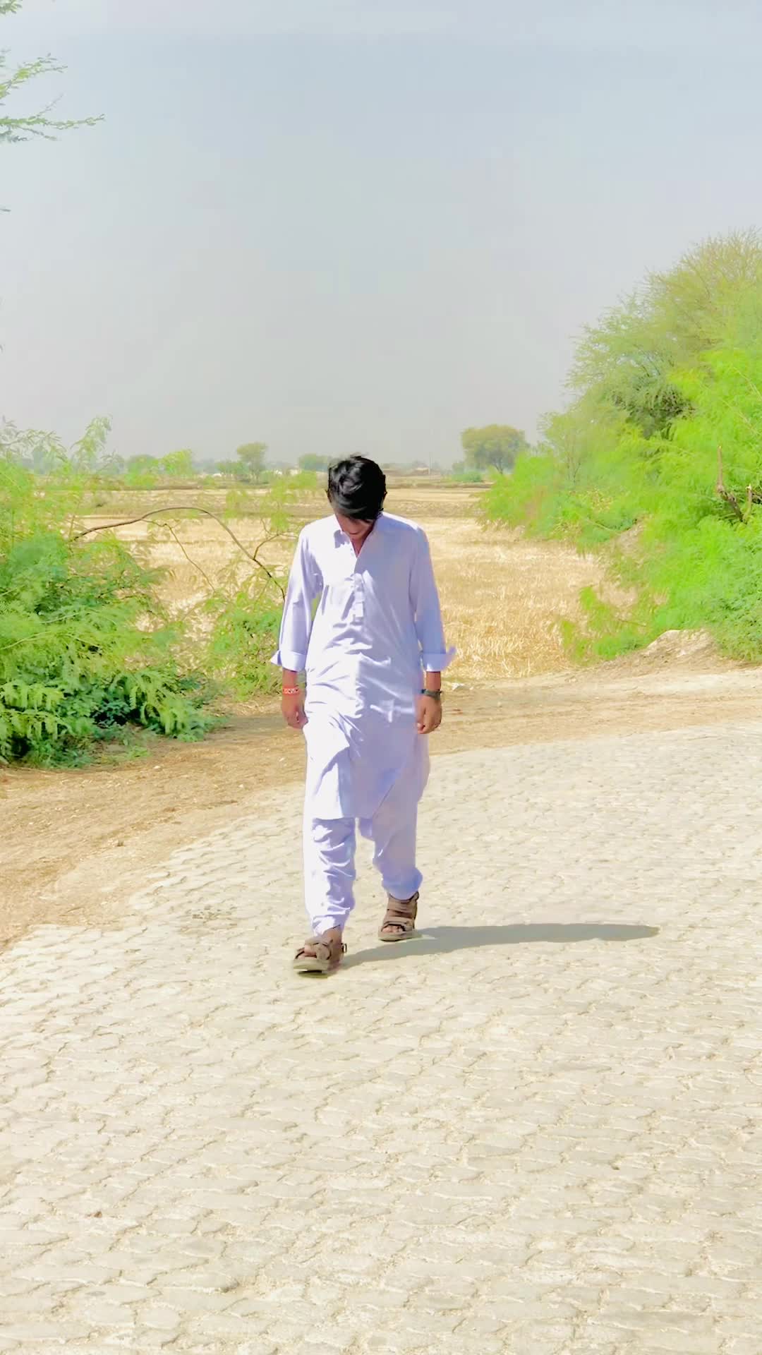 @King-Panah-Sindhi