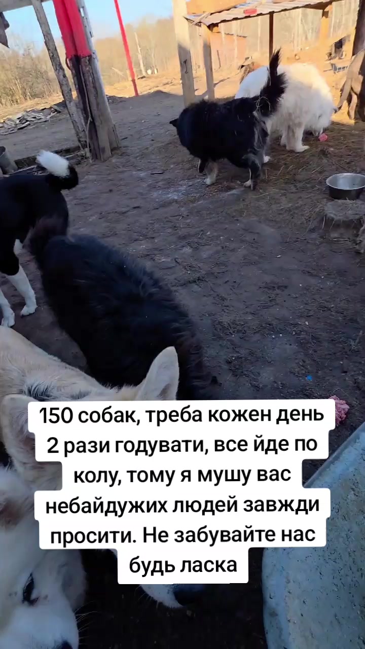 @tvarinkidobra