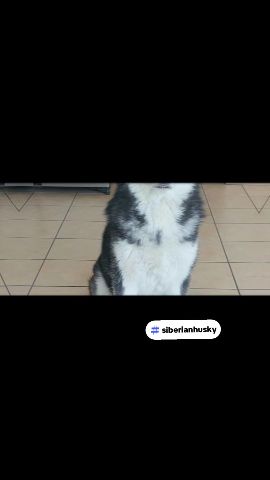 @🐺🇵🇪 Lili Shop 🐼💥🌽