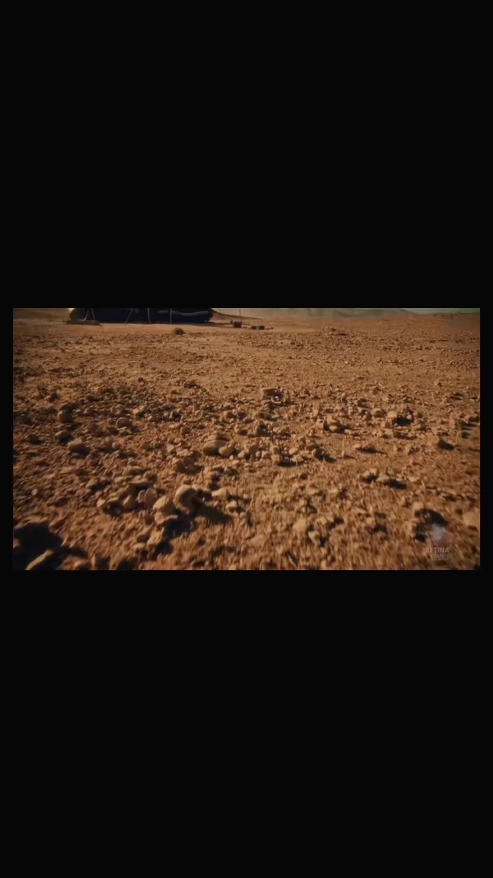 @فـِرِيــدة | 𝓕𝓪𝓻𝓮𝓭𝓪