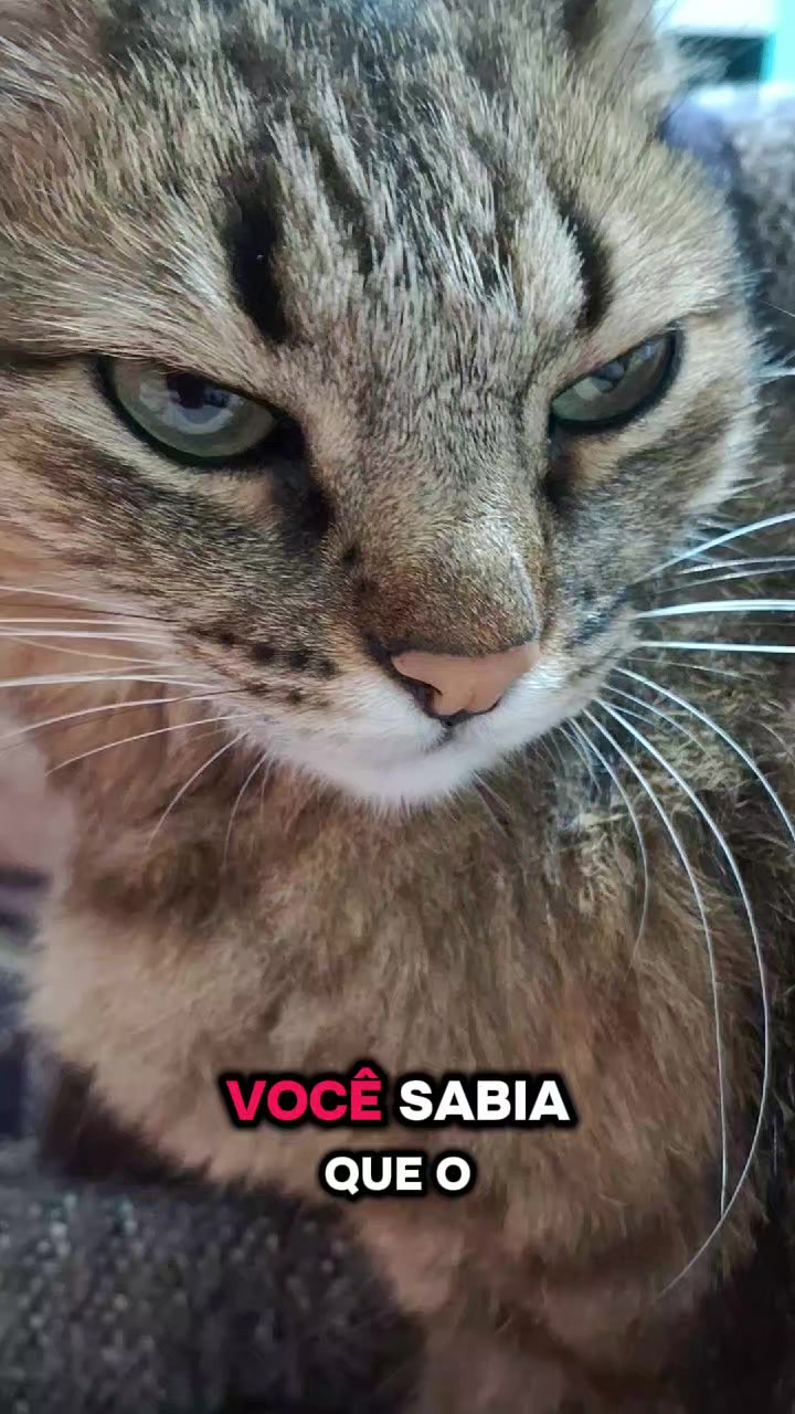 @lua