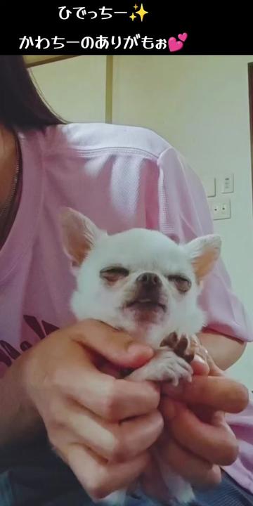 @しまい