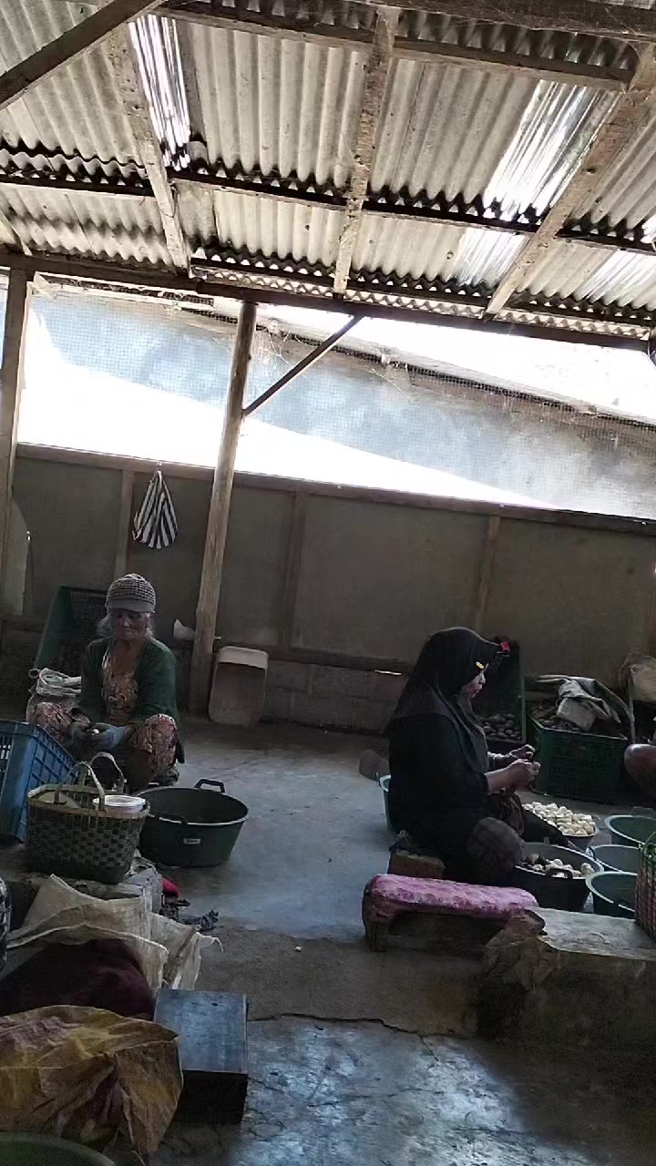 @vickydhuta