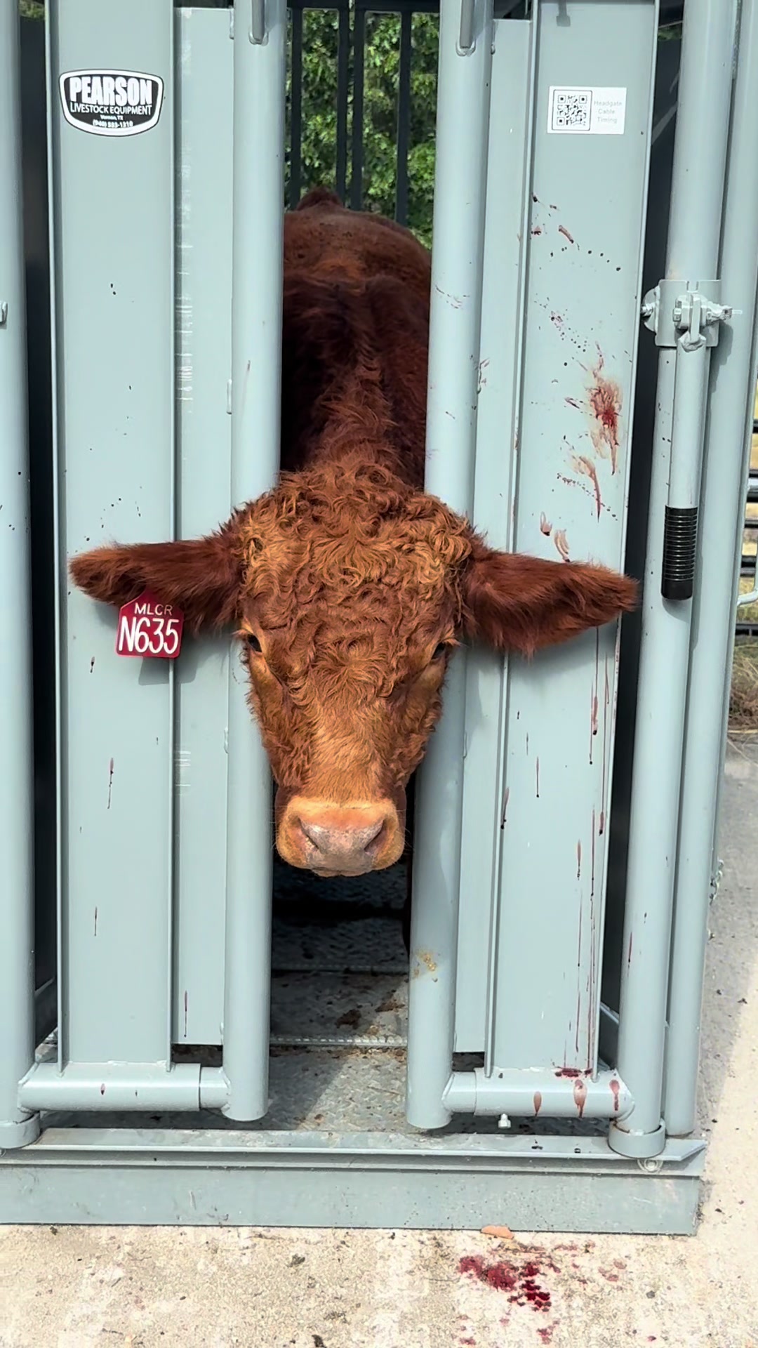 @Massey Land & Cattle