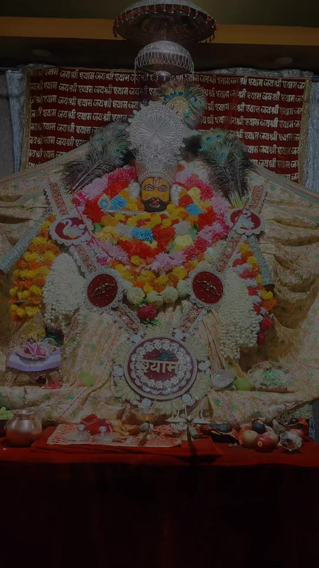 @rajanijaiswal688tiktok.com/@