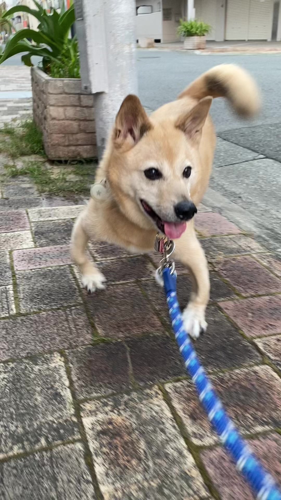 @てる
