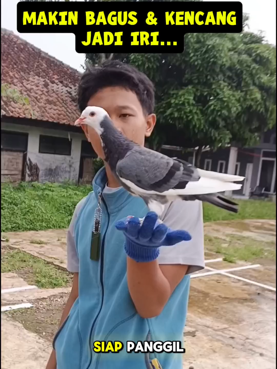 @BANG LEYON