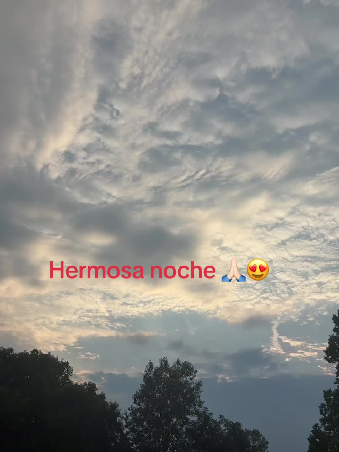 @Maria Ruiz