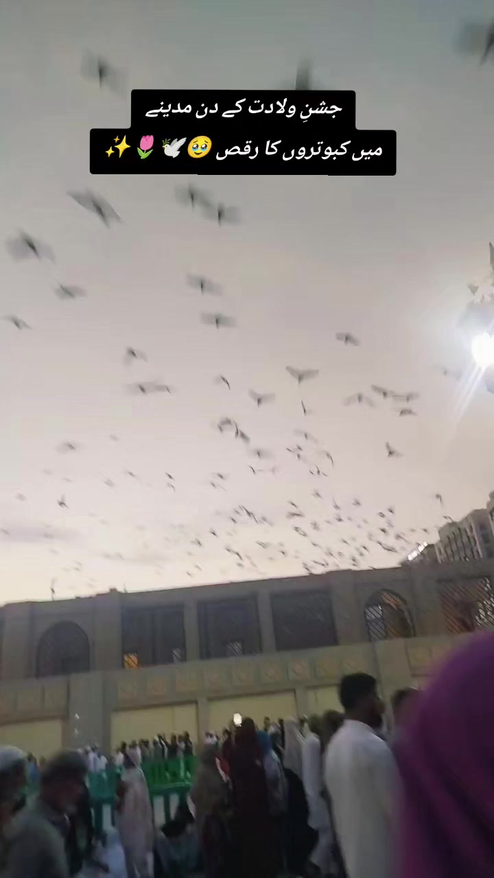 @🚩 ثناء